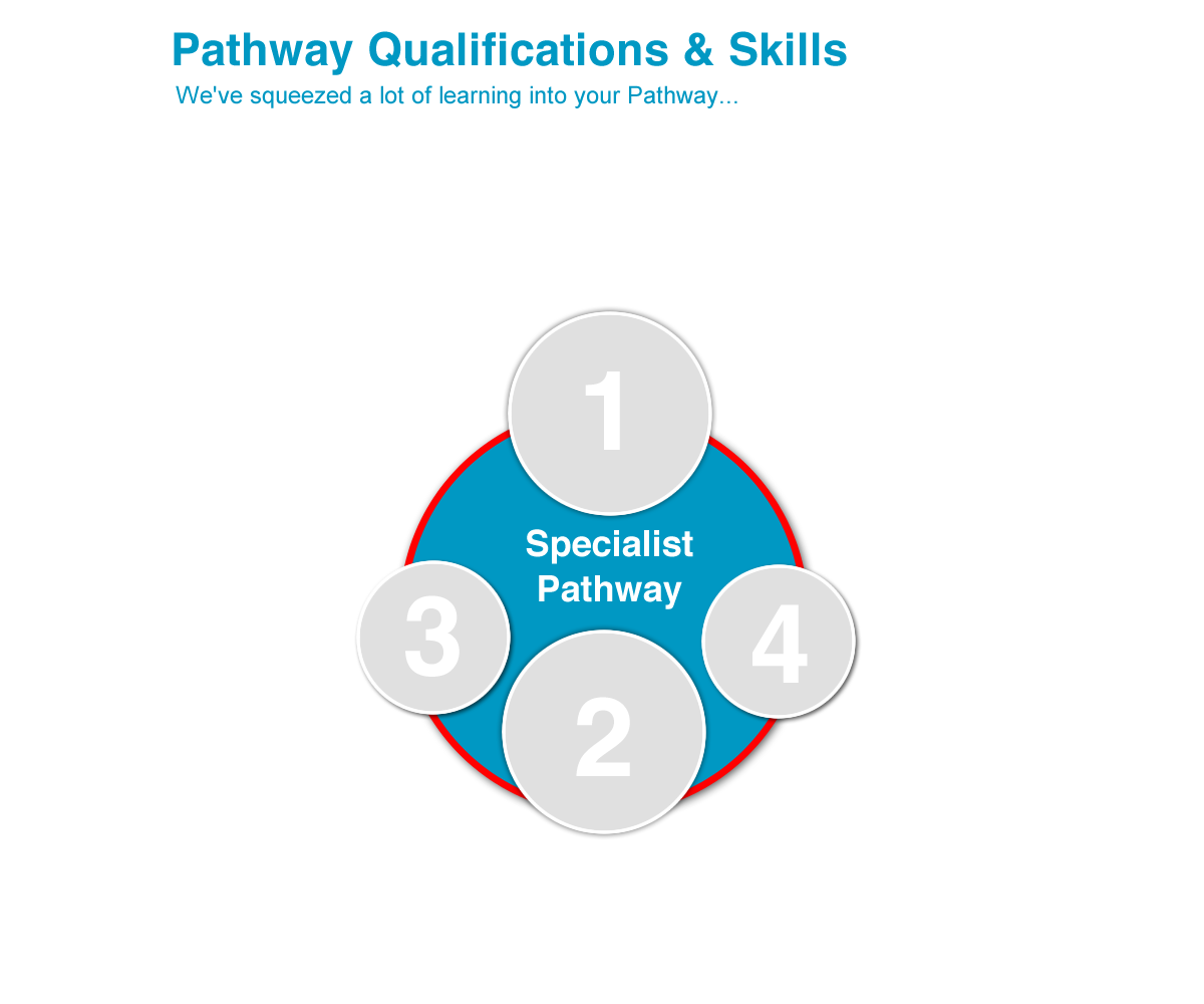 CREATE Pathway QS_f02 CREATE Pathway QS_f02