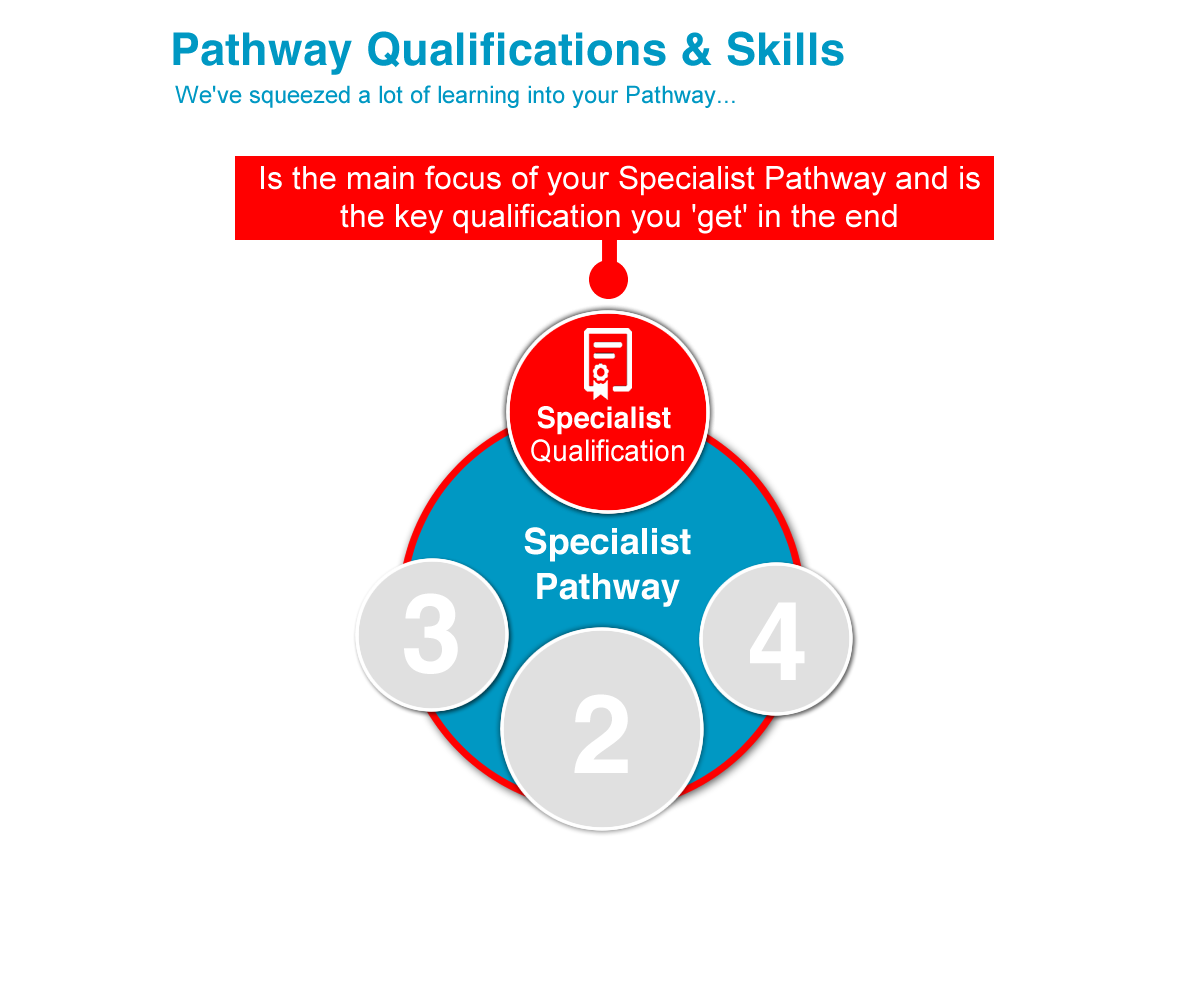 CREATE Pathway QS_f03 CREATE Pathway QS_f03